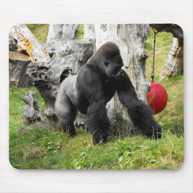 Lowland silverback gorilla walking mouse mat (Front)