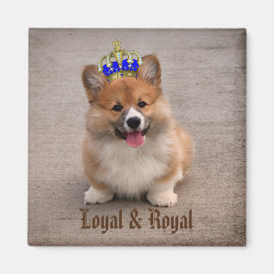 Loyal and Royal Corgi Puppy Magnet