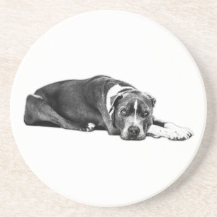 Loyal Companion Pitbull Mix Art Coaster