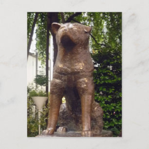 loyal hachiko postcard