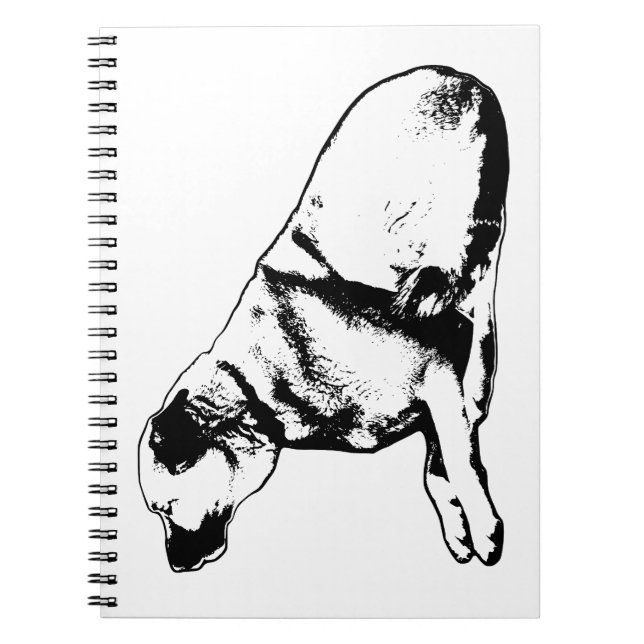 Loyal Shape Poise Notebook (Front)