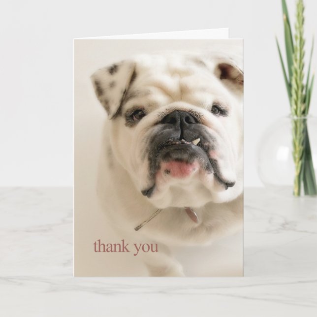 Loyal White Bulldog Thank You (Front)