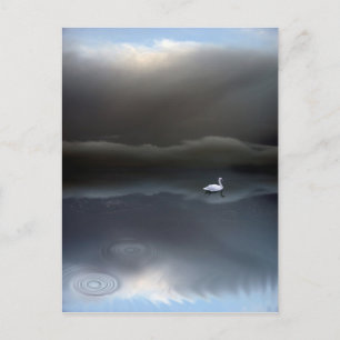loyalty postcard