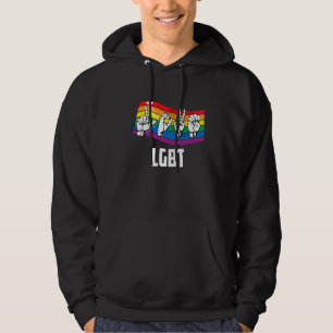 Lqbtq Flag Gay Rainbow Flag Pride Bisexual Gay Bi Hoodie