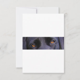 LR black eyes Thank You Card