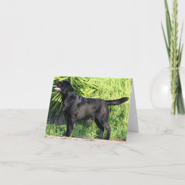 LR black lab full Card (Front)