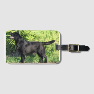 LR black lab full Luggage Tag