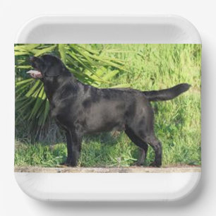 LR black lab full Paper Plate