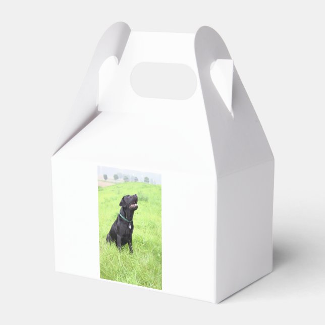 LR black lab sitting Favour Box (Front Side)