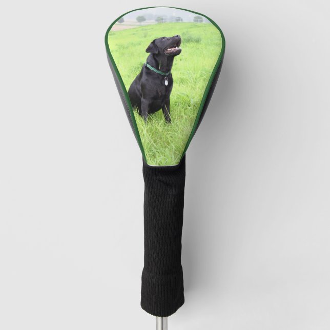 LR black lab sitting Golf Head Cover (Front)