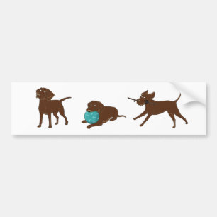 LR chocolate lab cartoon strip Bumper Sticker