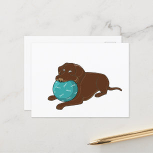 LR chocolate lab chewing ball cartoon Postcard