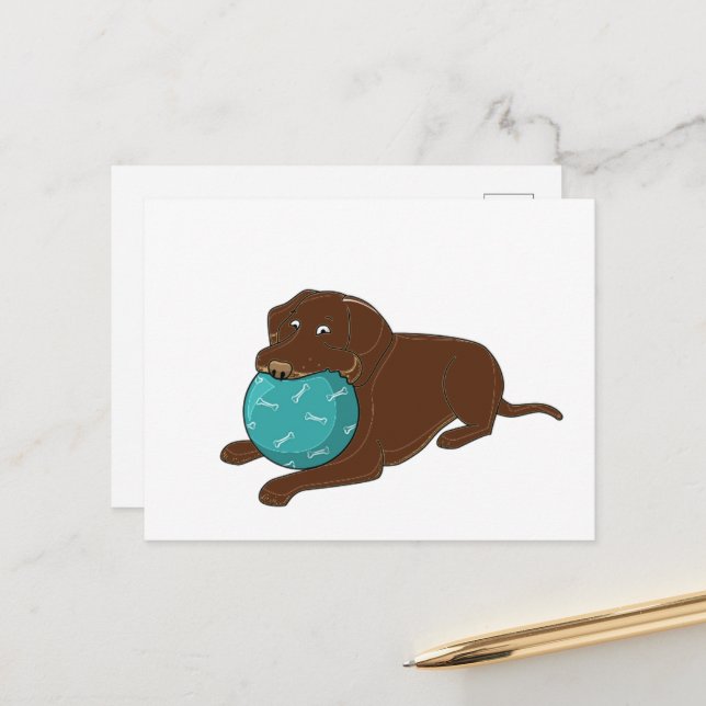 LR chocolate lab chewing ball cartoon Postcard (Front/Back In Situ)