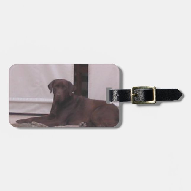 LR chocolate lab laying Luggage Tag (Front Horizontal)