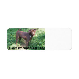 LR chocolate lab love with picture