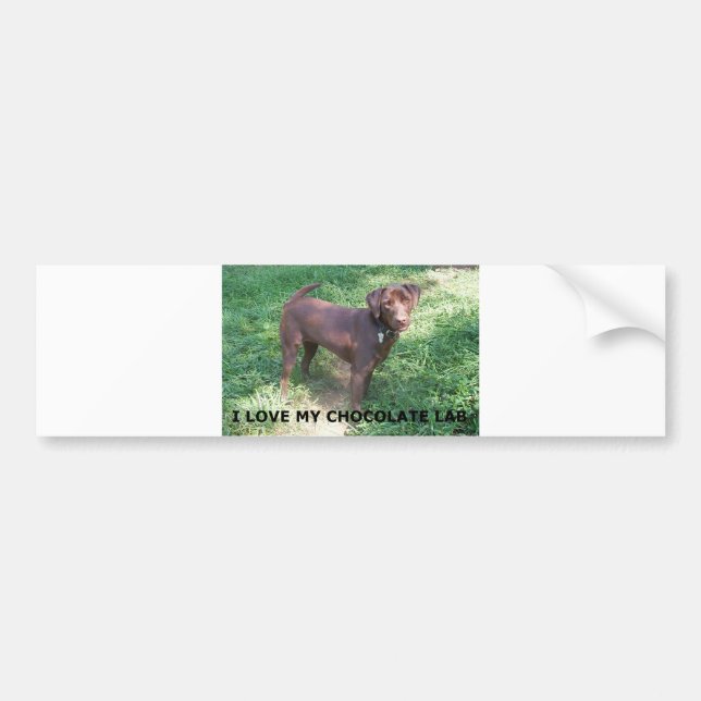 LR chocolate lab love with picture Bumper Sticker (Front)