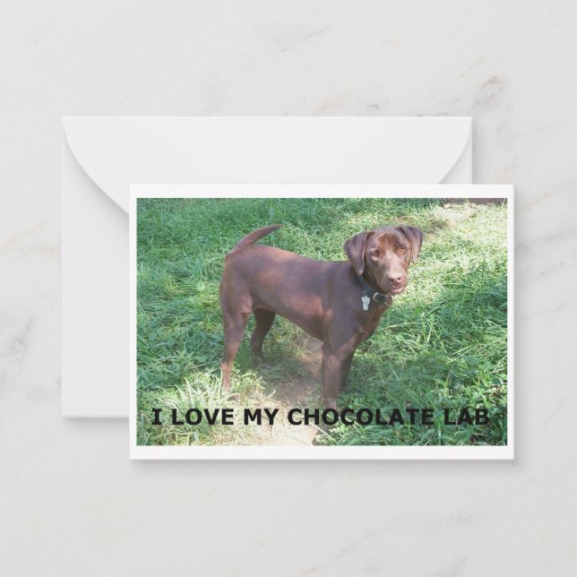 LR chocolate lab love with picture Card (Front)