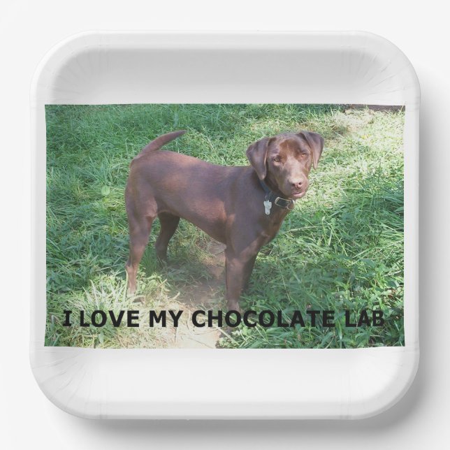 LR chocolate lab love with picture Paper Plate (Front)