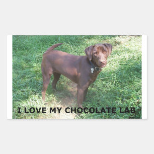 LR chocolate lab love with picture Rectangular Sticker