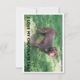 LR chocolate lab love with picture Thank You Card