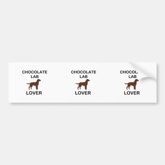 LR chocolate lab lover Bumper Sticker (Front)