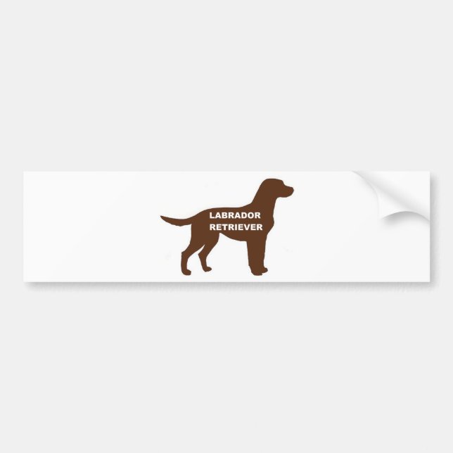 LR chocolate lab name silhouette Bumper Sticker (Front)