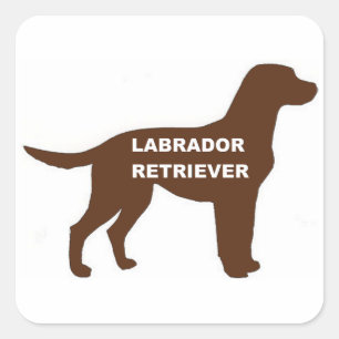 LR chocolate lab name silhouette Square Sticker