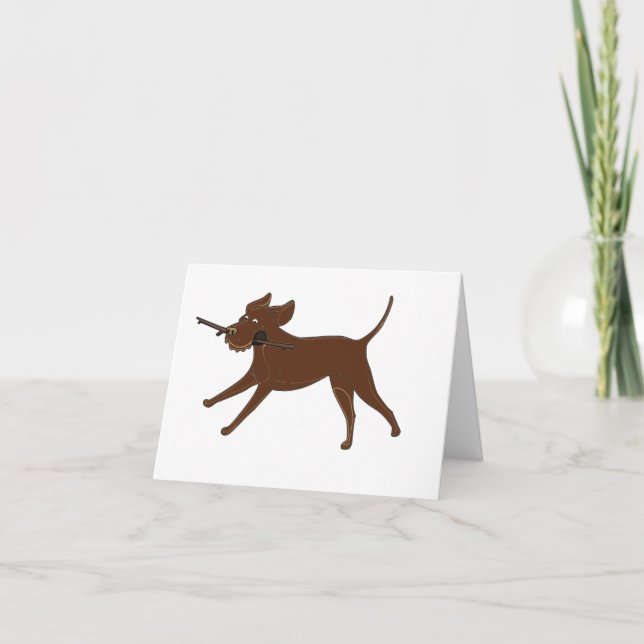 LR chocolate lab with stick Card (Front)