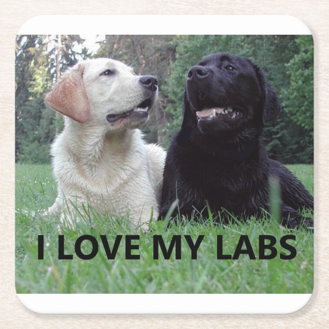 LR I Love My Labs with picture Square Paper Coaster (Front)
