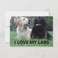 LR I Love My Labs with picture