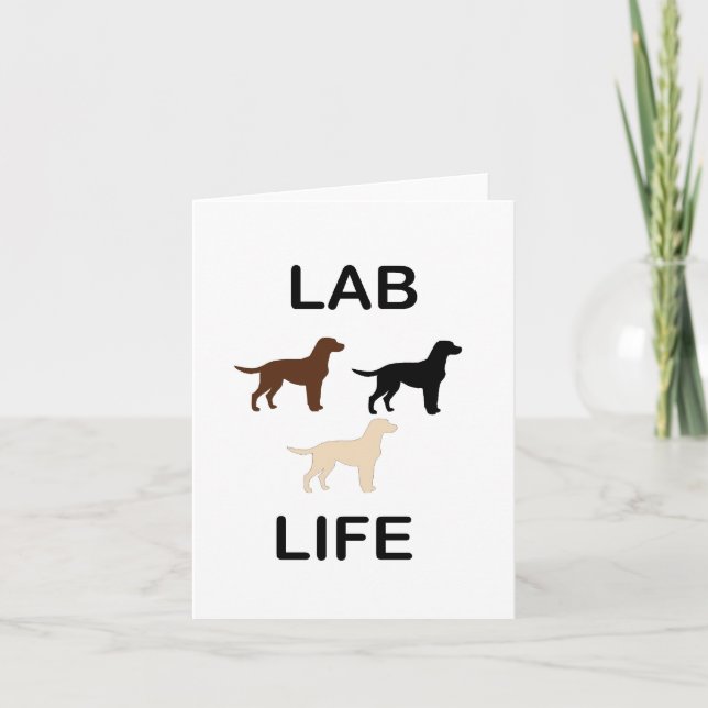 LR lab life all colours silhouettes Card (Front)