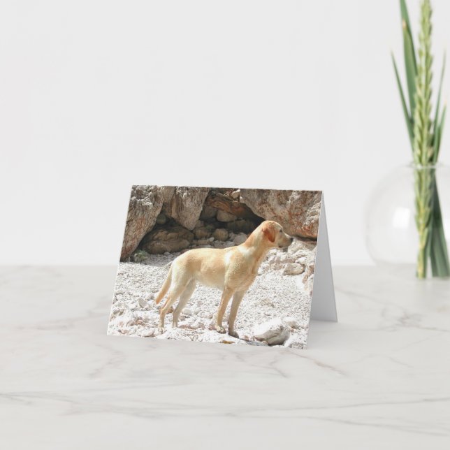 LR yellow full Card (Front)