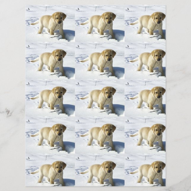 LR yellow lab puppy in snow (Front)