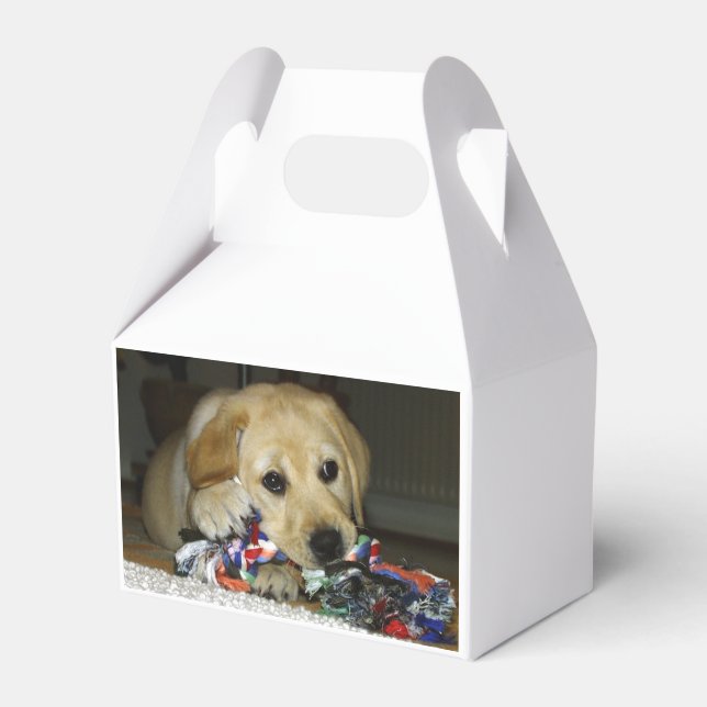LR yellow lab puppy with toy Favour Box (Front Side)