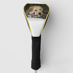 LR yellow lab puppy with toy Golf Head Cover