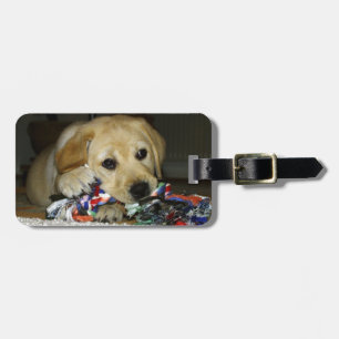 LR yellow lab puppy with toy Luggage Tag