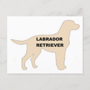 LR yellow name silhouette Postcard