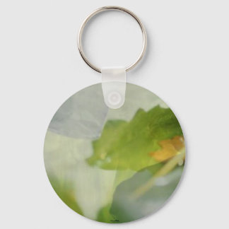 Lu Ye Keychain