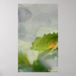 Lu Ye Poster