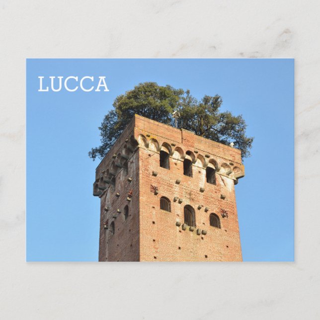 Lucca, Italy Postcard (Front)