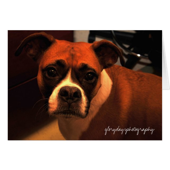 Lucie Monroe portrait (Front Horizontal)