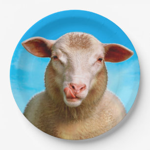 Lucie the sheep paper plate