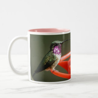 Lucifer Hummingbird Mug, left-handled Two-Tone Coffee Mug