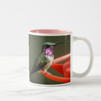 Lucifer Hummingbird Mug, right-handled Two-Tone Coffee Mug