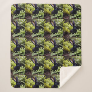 Lucifer the Black Bunny: A Dark Bundle of Mischief Sherpa Blanket