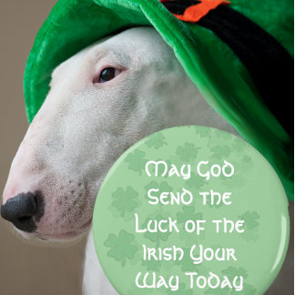 Luck of the Irish Magnet