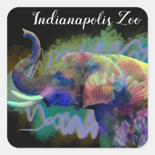 Luck of the Nose Elephant Square Sticker