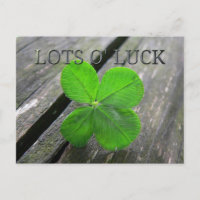 Lucky 4 leaf clover