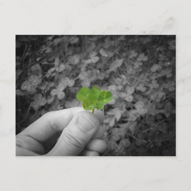 Lucky 6 (selective coloured version) postcard (Front)