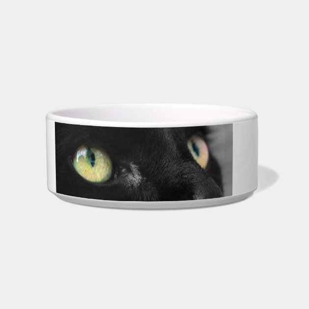 black cat bowl